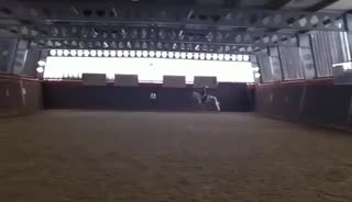 Video Player